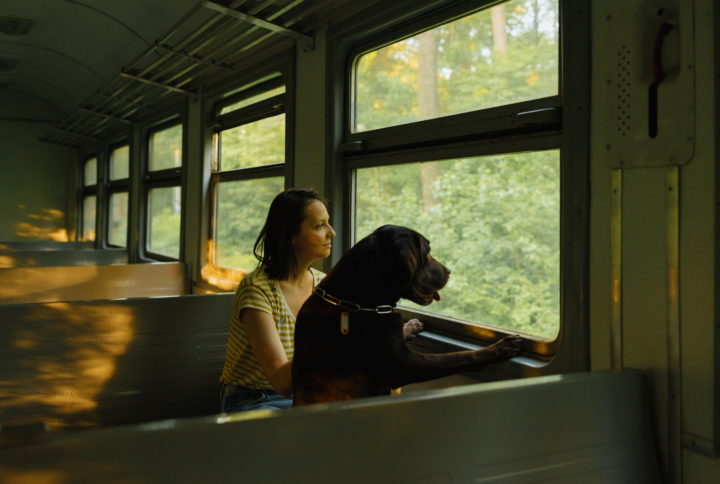Trenitalia, cani e gatti viaggiano gratis tutta l’estate